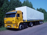 Грузоперевозки Минск Санкт Петербург Тент 20 тонн, фото 2