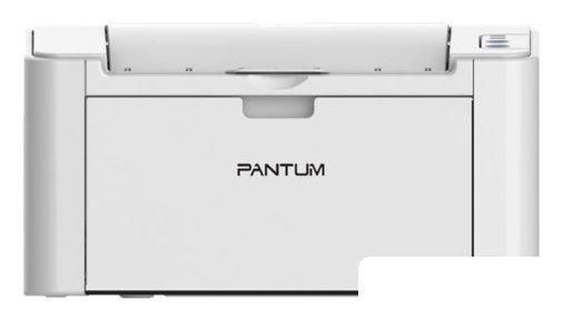 Принтер Pantum P2200