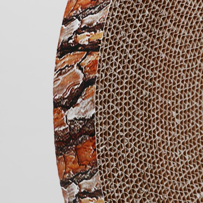 Гофрокогтеточка "Пижон" высокая круглая "Спил сосны", с пропиткой, 35 х 4 см - фото 4 - id-p181403264
