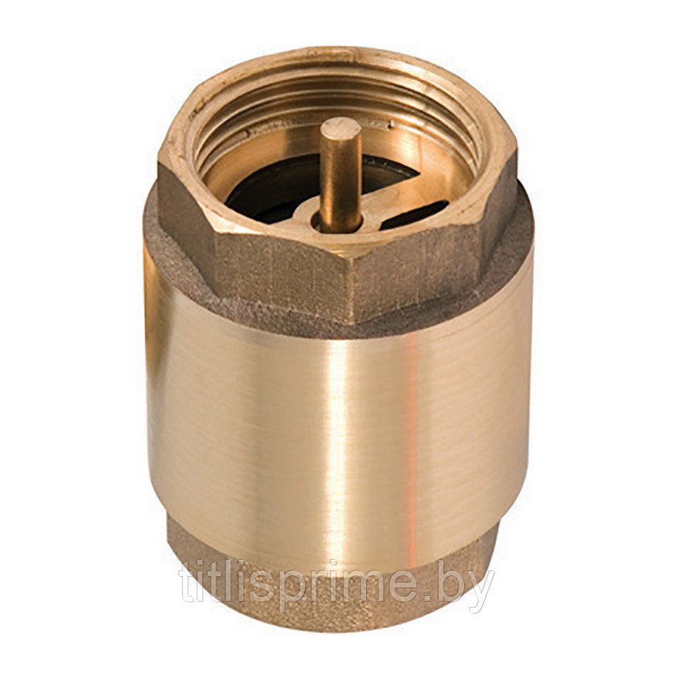 Клапан обратный диам.40 мм (1 1/4"), Omnigena - фото 1 - id-p181441328