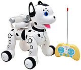 Радиоуправляемая интерактивная  игрушка Собачка далматинец   робот "Умный питомец", фото 3