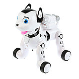 Радиоуправляемая интерактивная  игрушка Собачка далматинец   робот "Умный питомец", фото 4