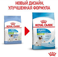 Сухой корм для щенков Royal Canin X-Small Junior 1.5 кг