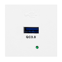 Розетка USB Type A Orno Noen,быстрая зарядка, 2М, 3A/5V, 2A/9V, 1,5A/12V, в комплекте с рамкой, белый