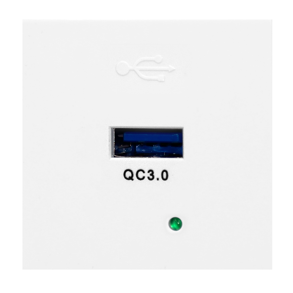 Розетка USB Type A Orno Noen,быстрая зарядка, 2М, 3A/5V, 2A/9V, 1,5A/12V, в комплекте с рамкой, белый - фото 1 - id-p181478129