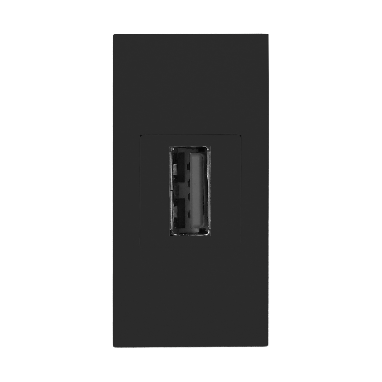 Розетка USB 2.0 Orno Noen, двойной разъем, Type A, 1М, черный