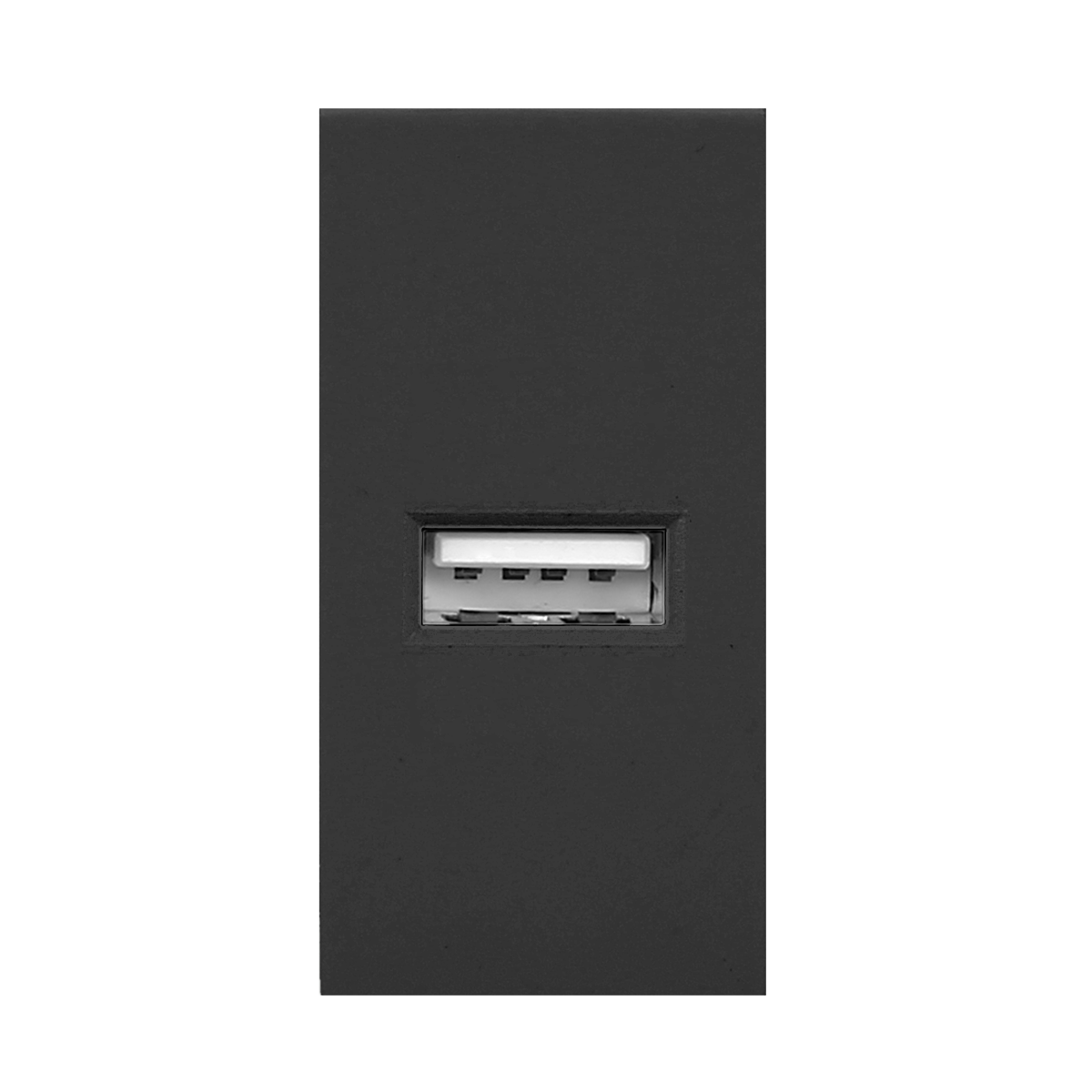 Розетка USB Type A Orno Noen, 1М, 5V, 2,1A, черный - фото 1 - id-p181478137