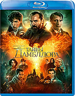 Фантастические твари: Тайны Дамблдора (BLU RAY Видео-фильм)