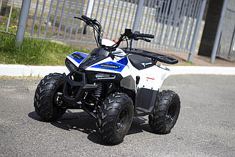 Квадроцикл подростковый ATV Mudhawk 110cc, фото 2