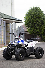 Квадроцикл подростковый ATV Mudhawk 110cc, фото 3