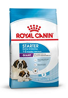 Сухой корм для щенков Royal Canin Giant Starter 15 кг