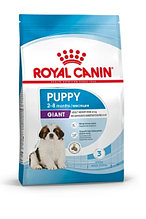Сухой корм для щенков Royal Canin Giant Puppy 15 кг