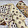 Постельное белье, бязь Комплект 1,5 спальный (147215 см 150215 см 7070 см - 2 шт) Абстракция Живые фотографии, фото 3