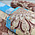 Постельное белье, бязь Комплект 1,5 спальный (147215 см 150215 см 7070 см - 2 шт) Арабеска Живые фотографии, фото 2