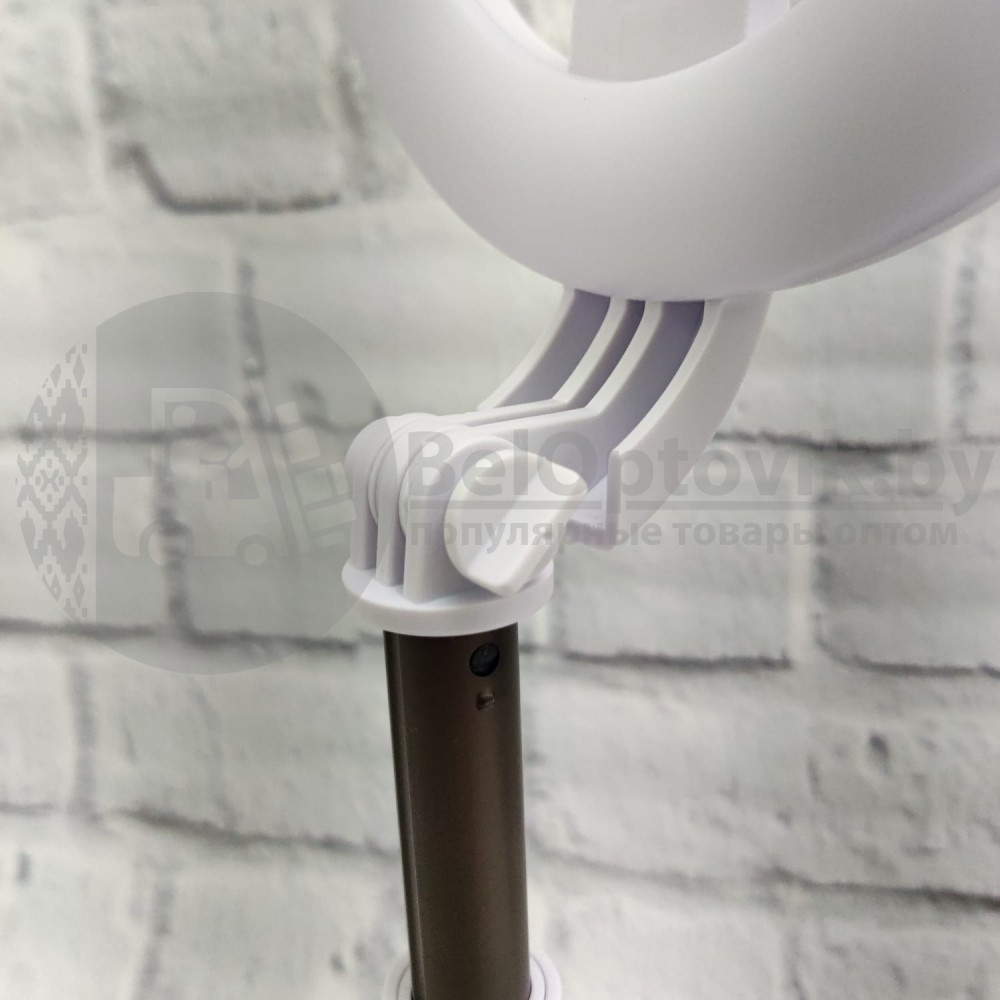 Светодиодная кольцевая лампа блогера для Селфи и Тик Тока с датчиком движения 360 Object A10 - фото 8 - id-p181587142