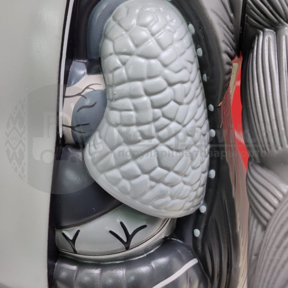 Kaws Dissected Gray Игрушка 40 см - фото 2 - id-p181594802