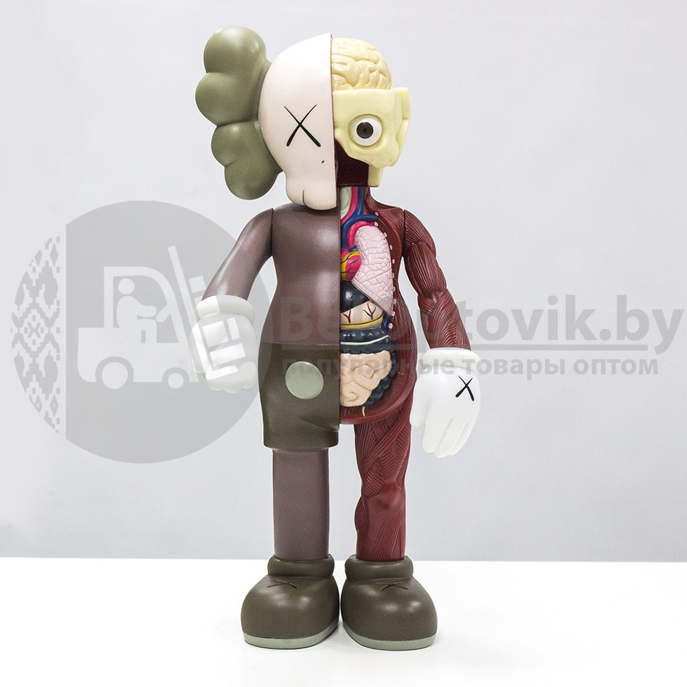 Kaws Dissected Brown Игрушка 40 см - фото 8 - id-p181594804