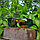 Солнцезащитные поляризованные антибликовые очки Tac Glasses для водителей и спорта (радужные), фото 3