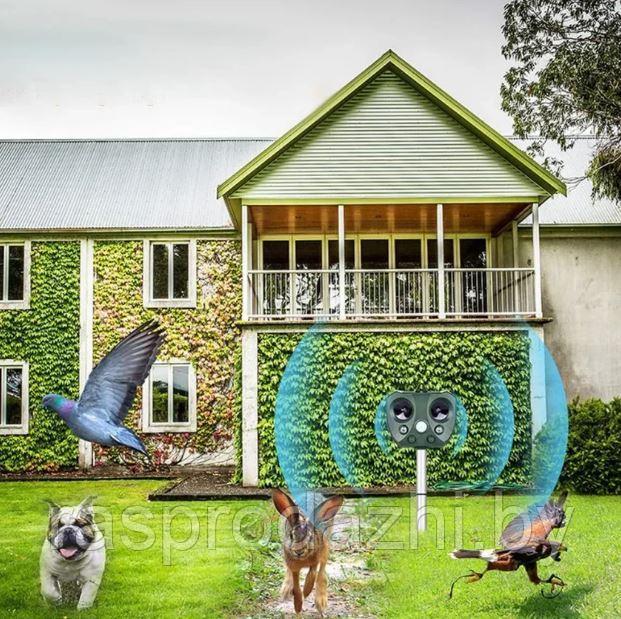 Отпугиватель собак, кошек и птиц Animal Bird repeller Solar Repeller на солнечных батареях