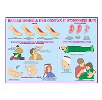 Информационный стенд "Первая помощь при ожогах и отморожениях"