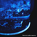 Чайник Kitfort KT-625-1 голубой, фото 3