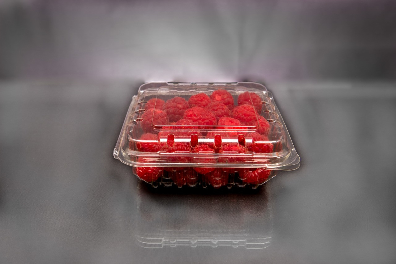 Перфорированный контейнер для ягод, микрозелени, овощей. - фото 1 - id-p181729442