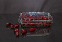 Перфорированный контейнер для ягод, микрозелени, овощей.