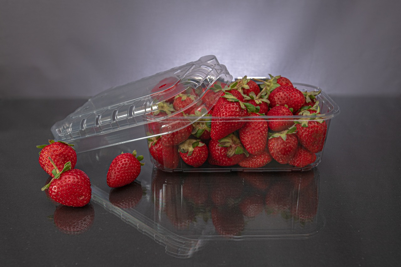 Перфорированный контейнер для ягод, микрозелени, овощей. - фото 1 - id-p181729495