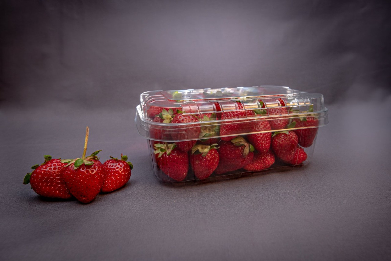 Перфорированный контейнер для ягод, микрозелени, овощей. - фото 3 - id-p181729495