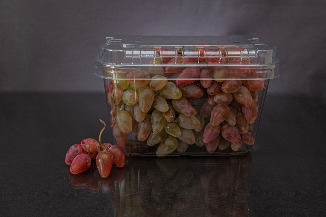 Перфорированный контейнер для ягод, микрозелени, овощей. - фото 2 - id-p181730460