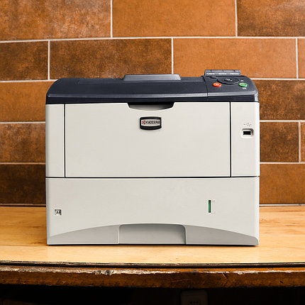 Kyocera Ecosys FS-3920DN, фото 2