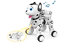 Собака интерактивная  Умный питомец  Далматинец, свет, звук, проектор, арт.ZYB-B2997-3v, фото 2