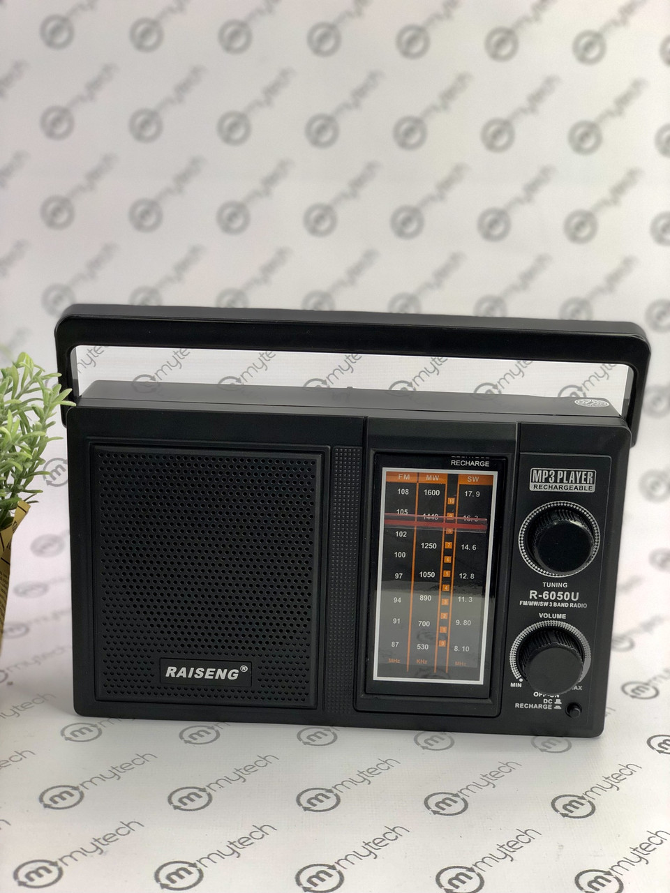 Радиоприёмник RAISENG R-6035U