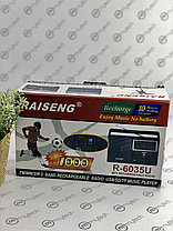 Радиоприёмник RAISENG R-6035U, фото 3