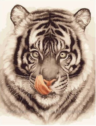Рисование по номерам "Белый тигр" картина
