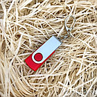 USB  накопитель с брелком (флешка) Twist , 32 Гб Красная, фото 7