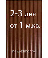 Профлист двухсторонний МП20 RAL 8017