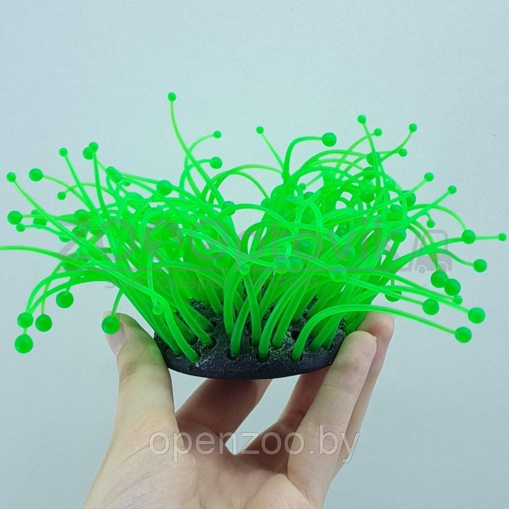 Meijing Aquarium Декор из силикона Коралл зеленый светящийся (7.5x7.5x10) - фото 2 - id-p182169712
