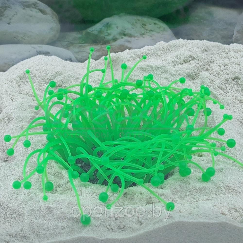 Meijing Aquarium Декор из силикона Коралл зеленый светящийся (7.5x7.5x10) - фото 3 - id-p182169712