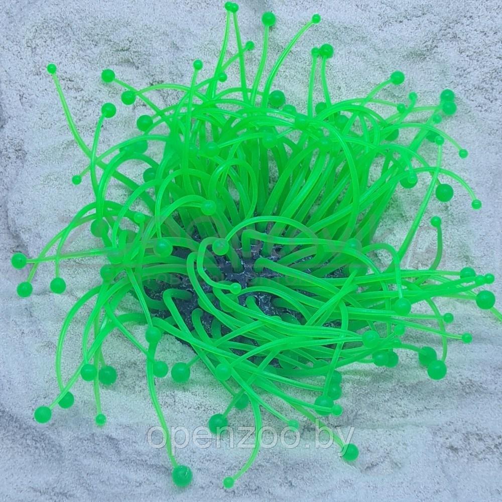 Meijing Aquarium Декор из силикона Коралл зеленый светящийся (7.5x7.5x10) - фото 4 - id-p182169712