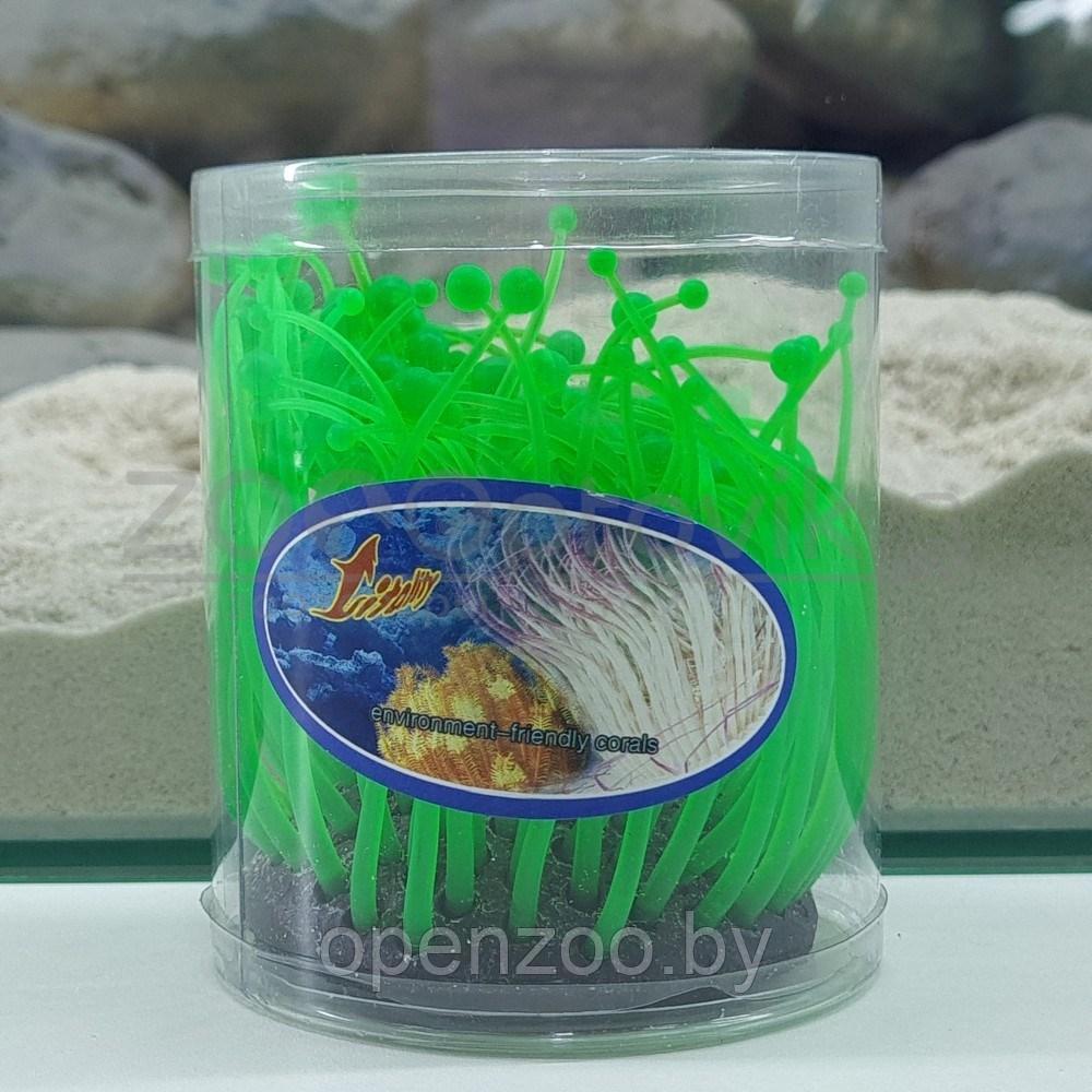 Meijing Aquarium Декор из силикона Коралл зеленый светящийся (7.5x7.5x10) - фото 5 - id-p182169712