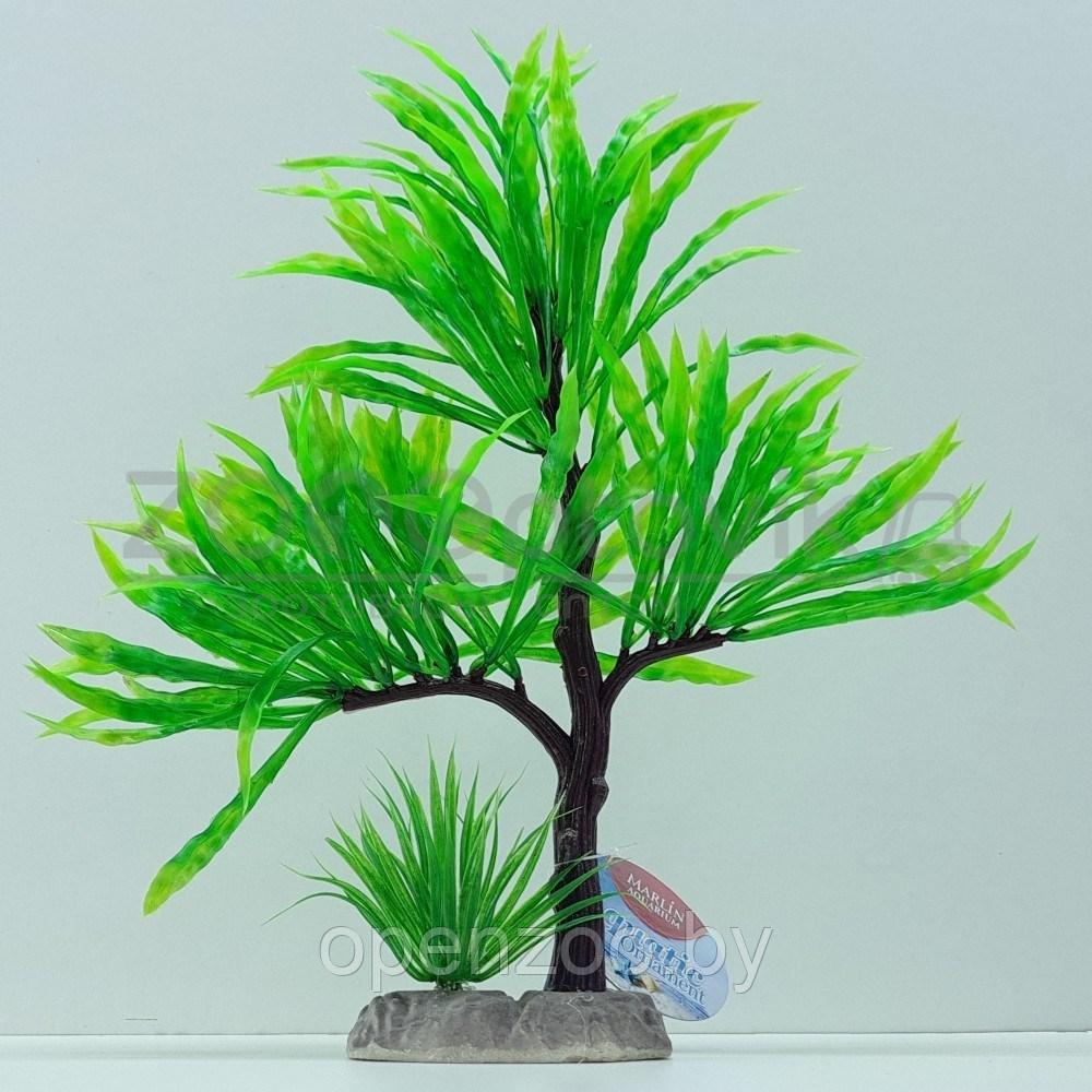 Meijing Aquarium Грот Эвкалиптовое дерево, бонсай (35-38 см.) - фото 1 - id-p182169717
