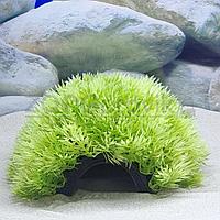 Meijing Aquarium Грот-укрытие Полусфера с растениями 10 см.
