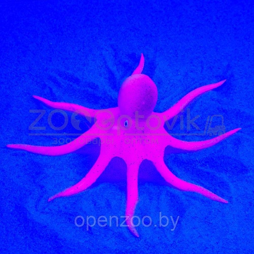 Meijing Aquarium Декор из силикона Осьминог плавающий 9x14 см. светящийся Розовый - фото 5 - id-p182169727