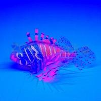 Meijing Aquarium Декор из силикона Крылатка плавающая Розовый