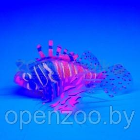 Meijing Aquarium Декор из силикона Крылатка плавающая Розовый - фото 1 - id-p182169740