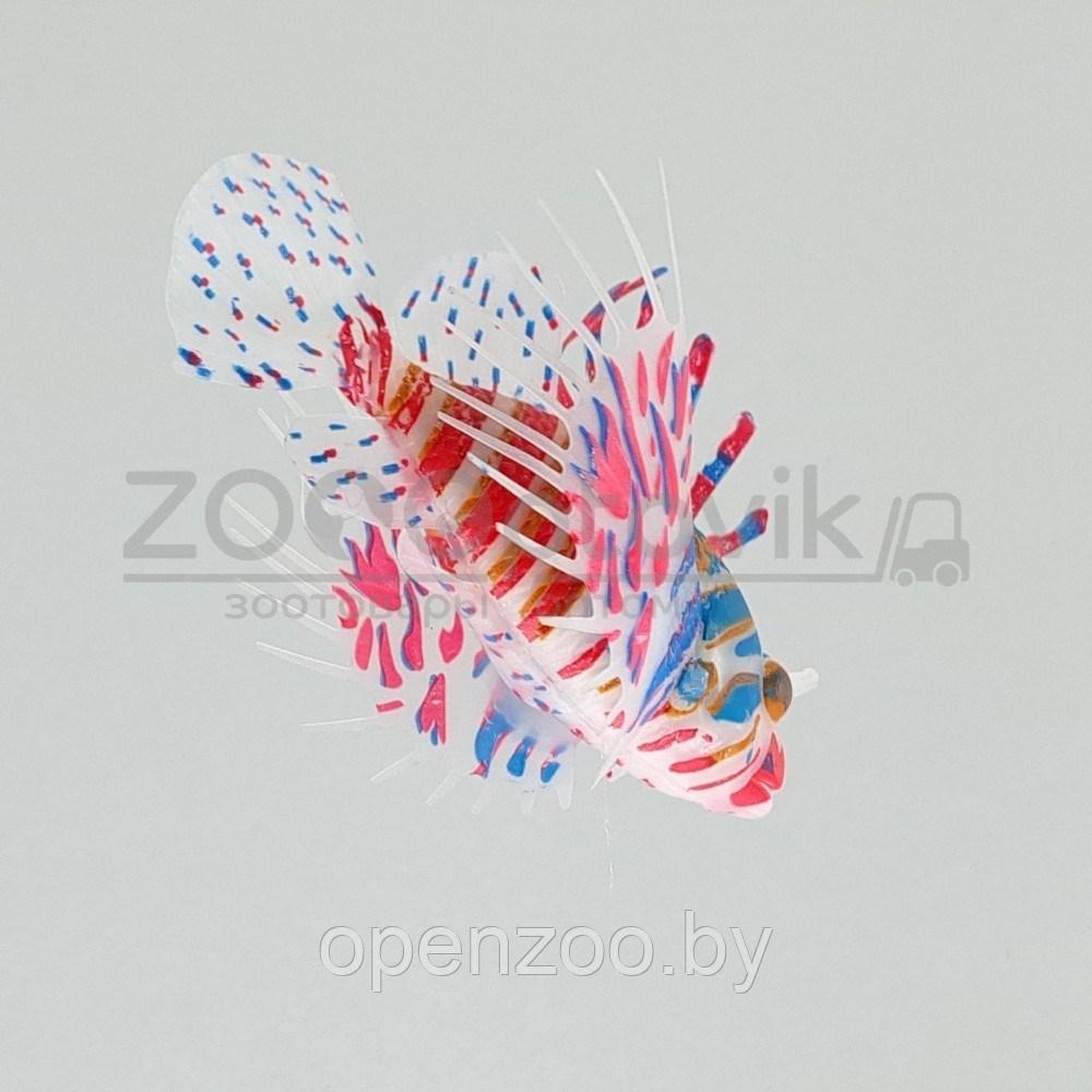 Meijing Aquarium Декор из силикона Крылатка плавающая Розовый - фото 2 - id-p182169740