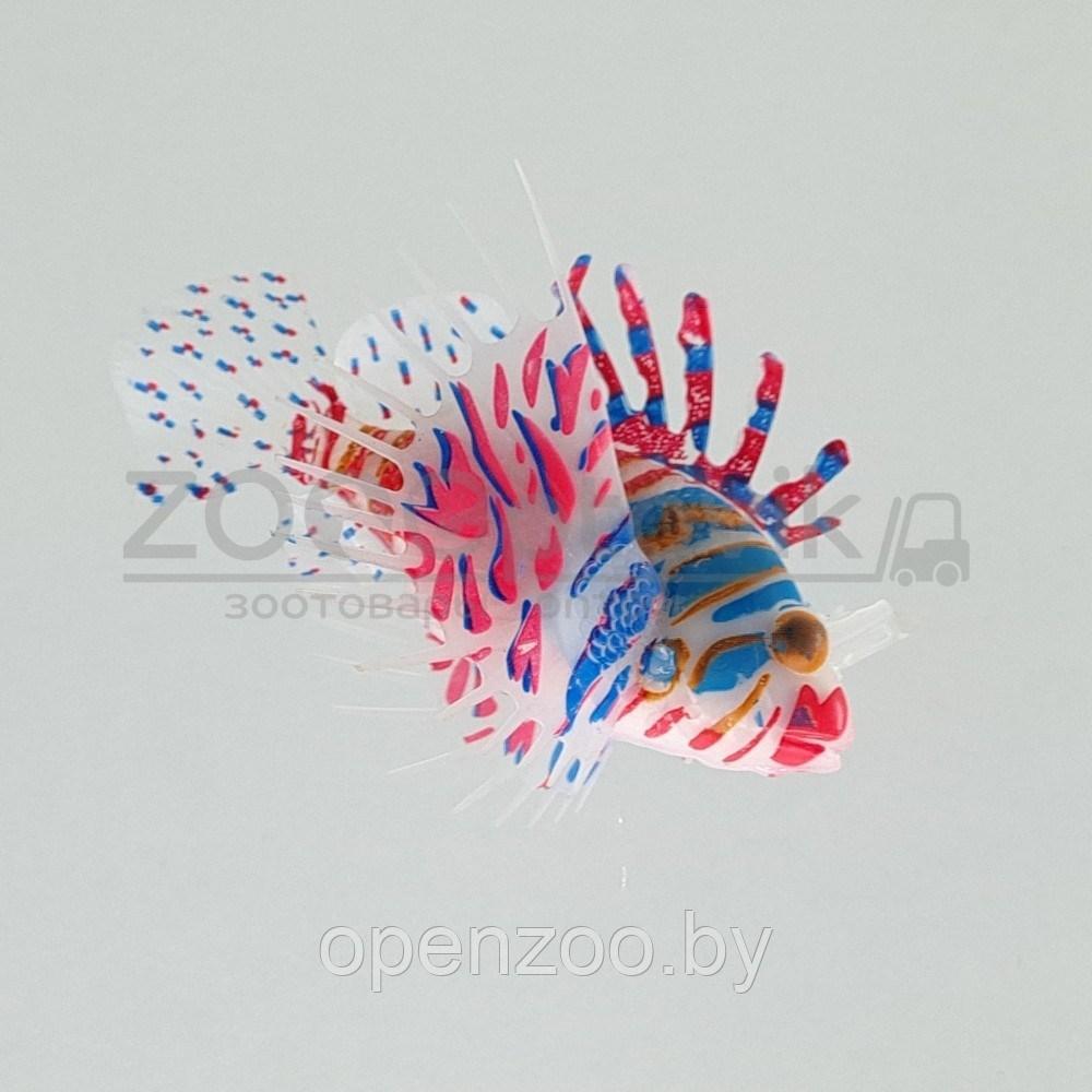 Meijing Aquarium Декор из силикона Крылатка плавающая Розовый - фото 3 - id-p182169740
