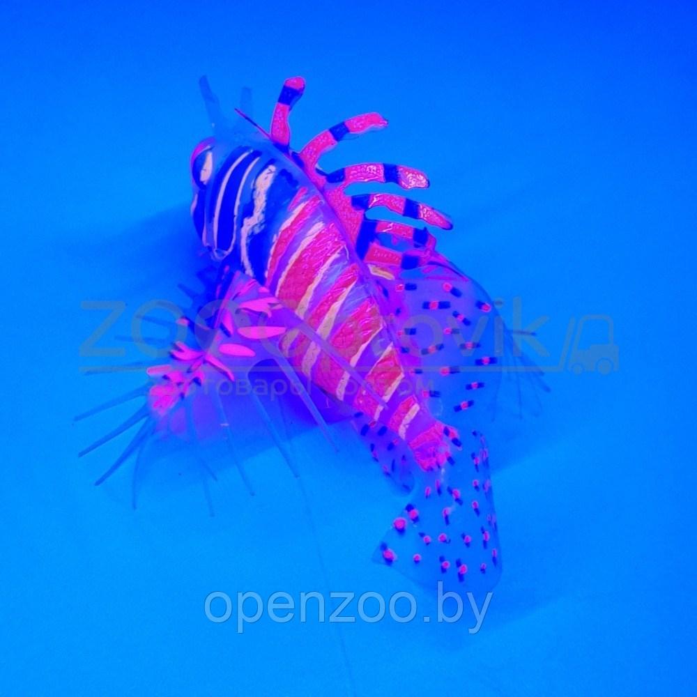 Meijing Aquarium Декор из силикона Крылатка плавающая Розовый - фото 4 - id-p182169740
