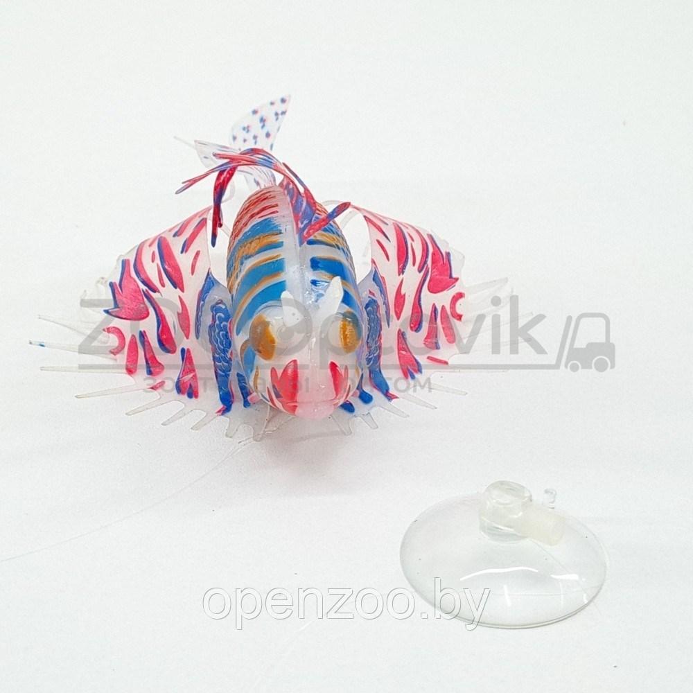 Meijing Aquarium Декор из силикона Крылатка плавающая Розовый - фото 5 - id-p182169740